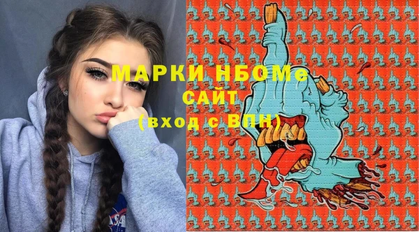 мдпв Гусев