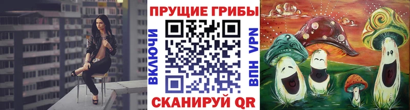 hydra как войти  Ак-Довурак  Галлюциногенные грибы мицелий 